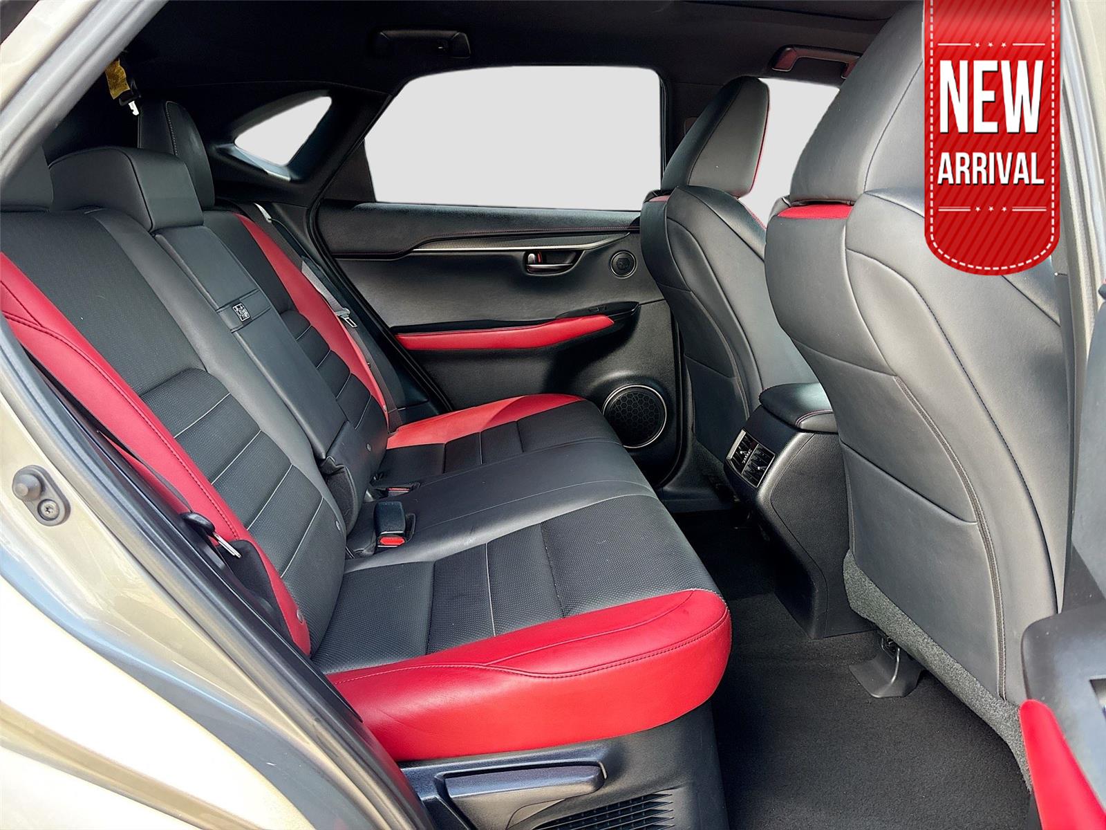 2019 Lexus NX NX 300 F SPORT