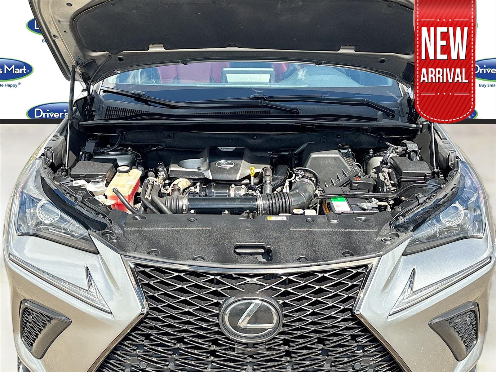 2019 Lexus NX NX 300 F SPORT