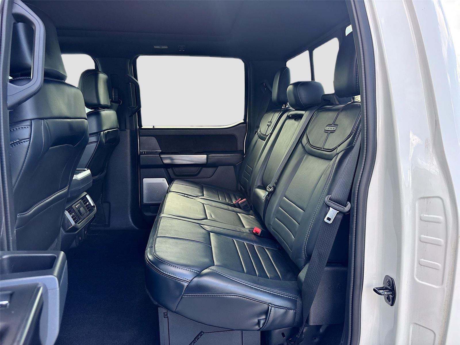 2023 Ford F-150 Platinum photo 23