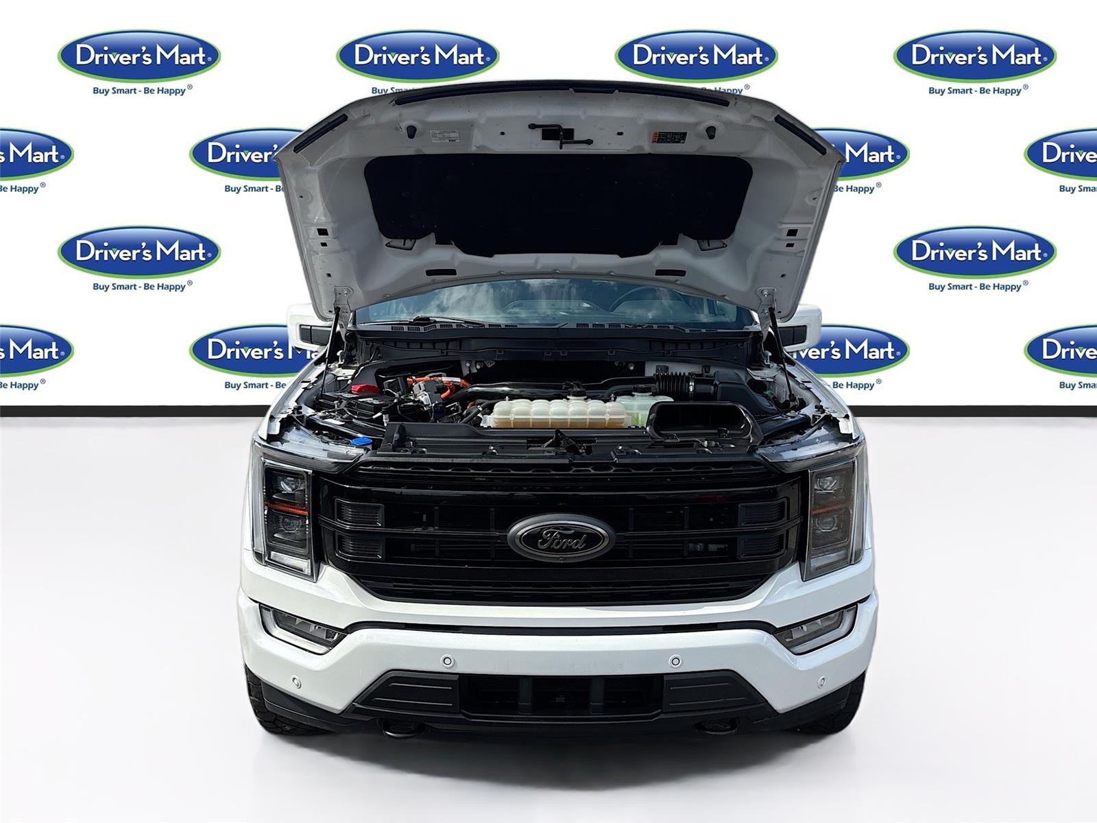 2023 Ford F-150 Platinum photo 29