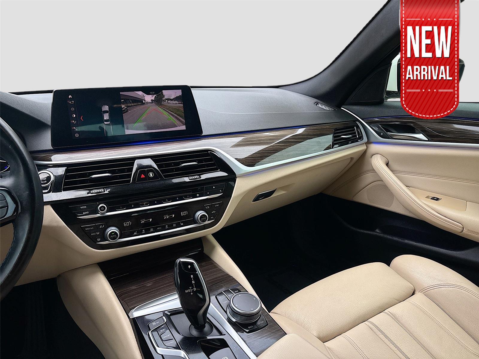 2019 BMW 5 Series 530i