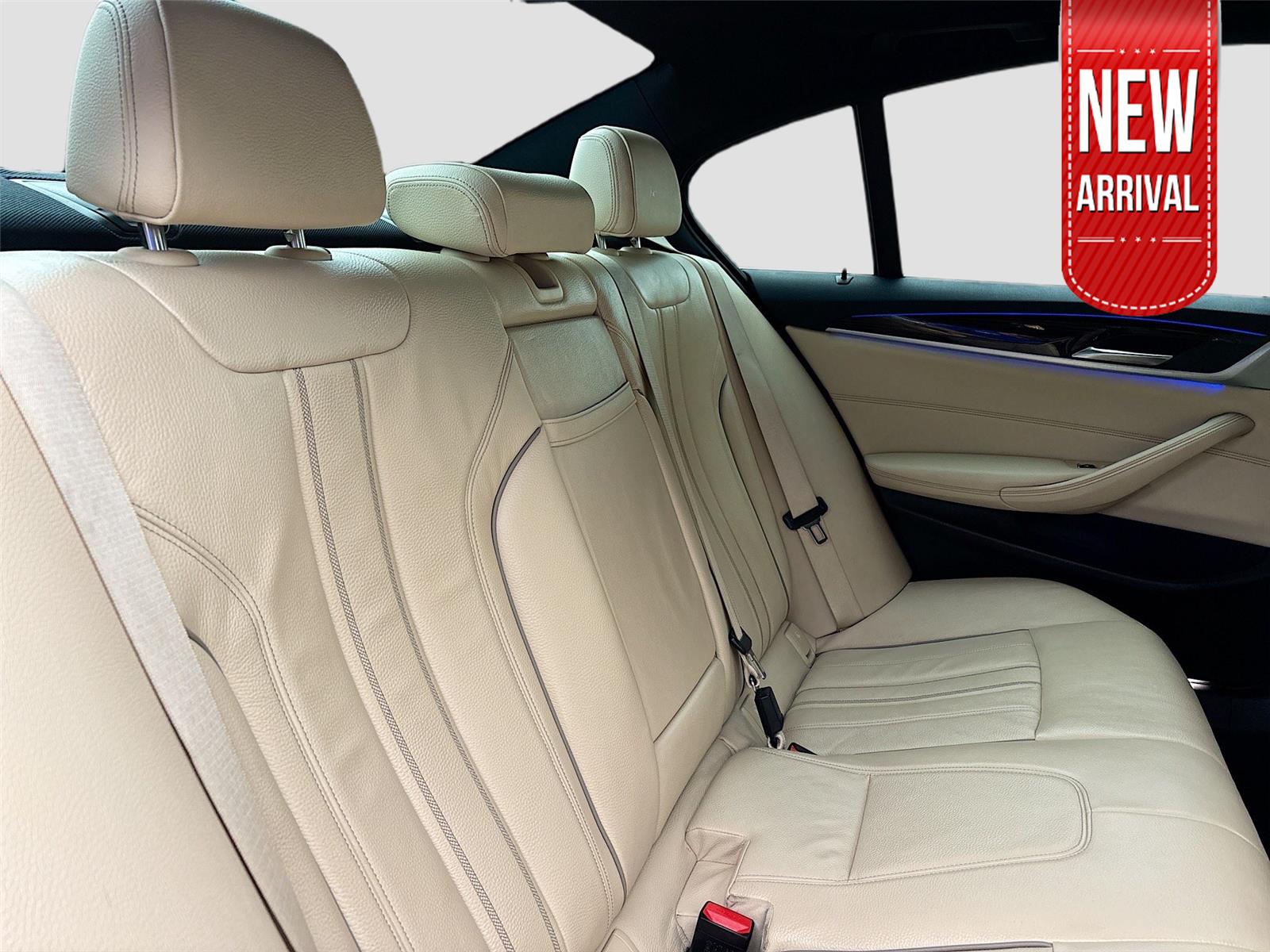 2019 BMW 5 Series 530i