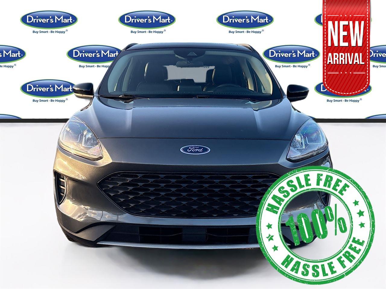 2020 Ford Escape Hybrid SE Sport photo 2