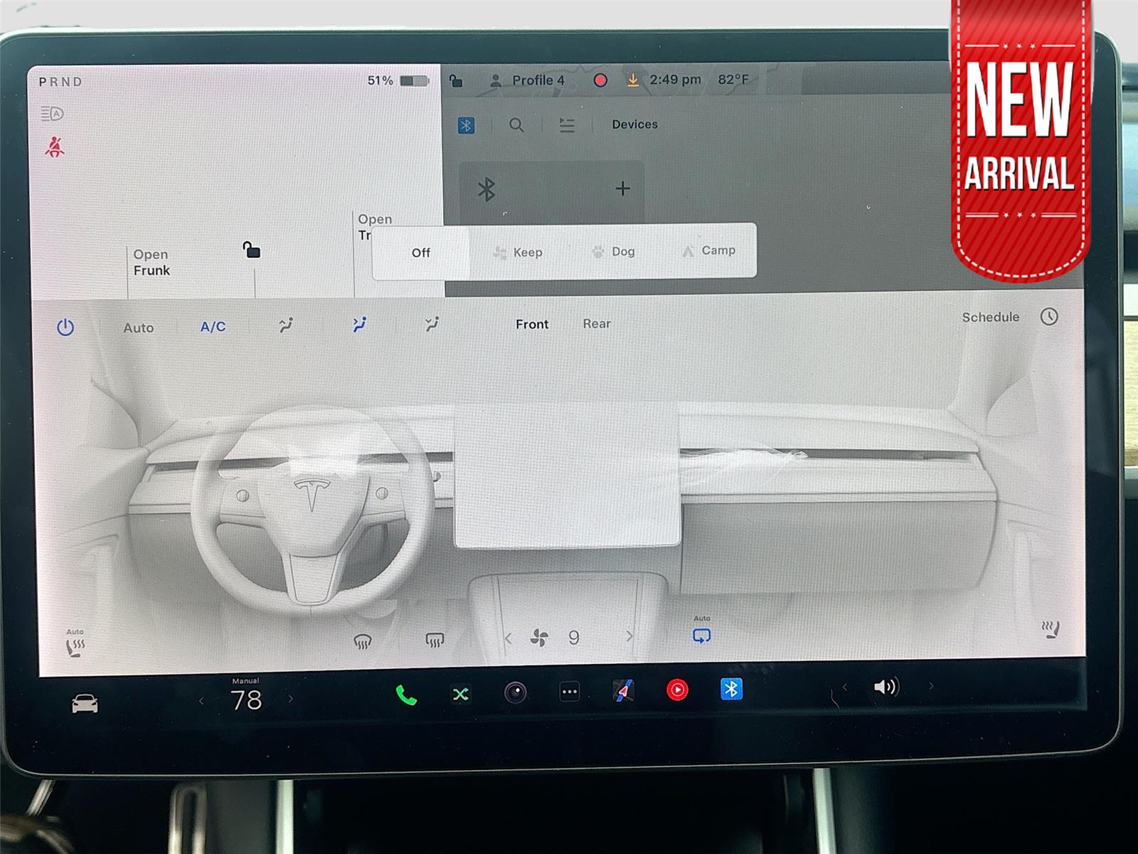 2019 Tesla Model 3 Standard Range Plus