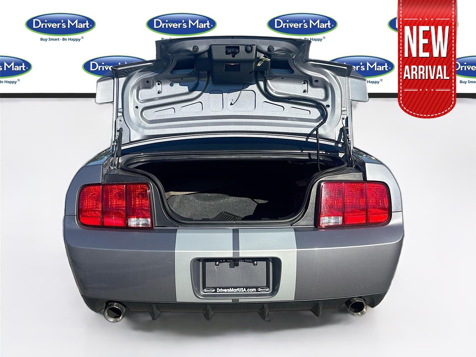 2007 Ford Mustang Shelby GT500