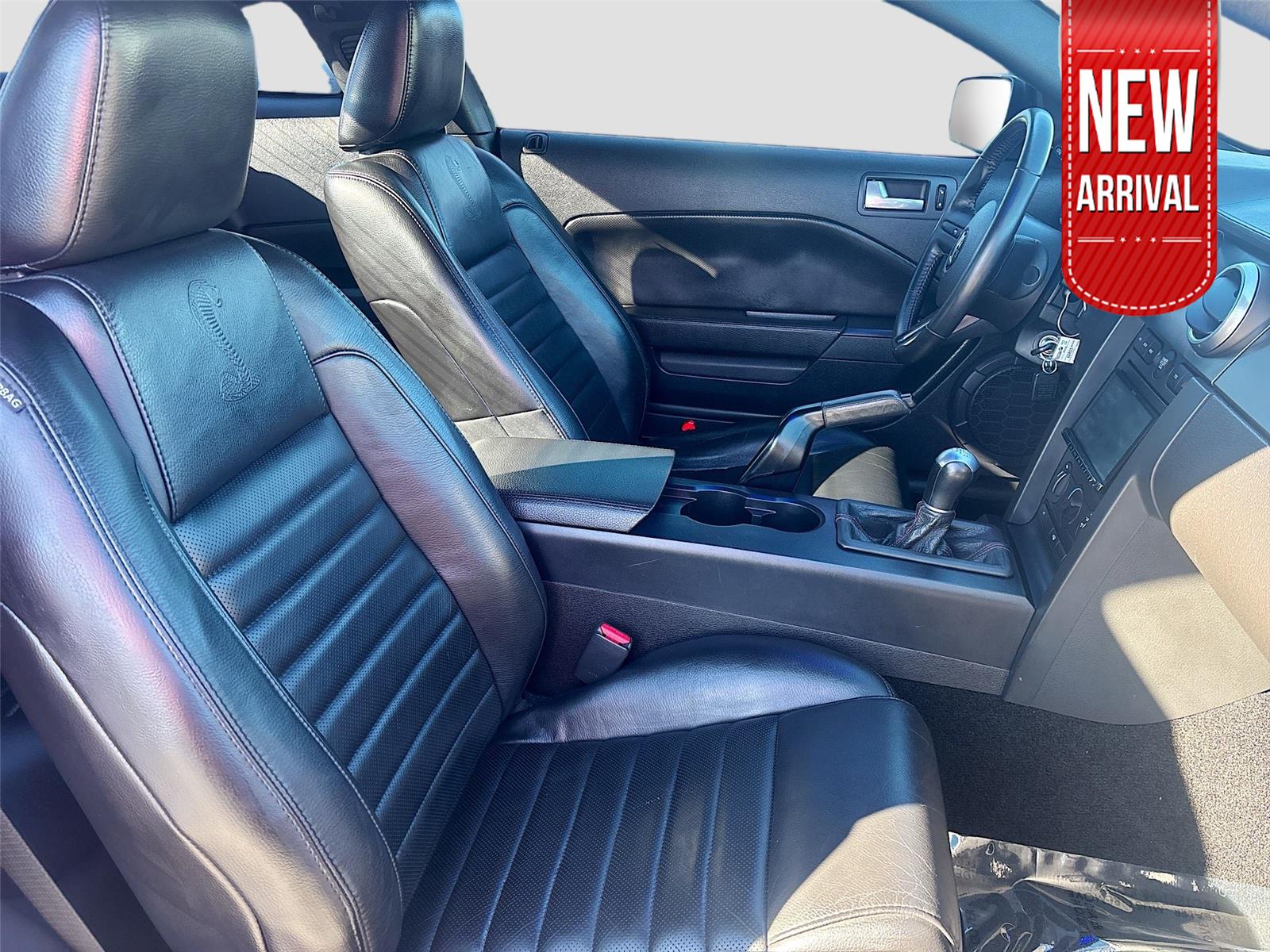 2007 Ford Mustang Shelby GT500