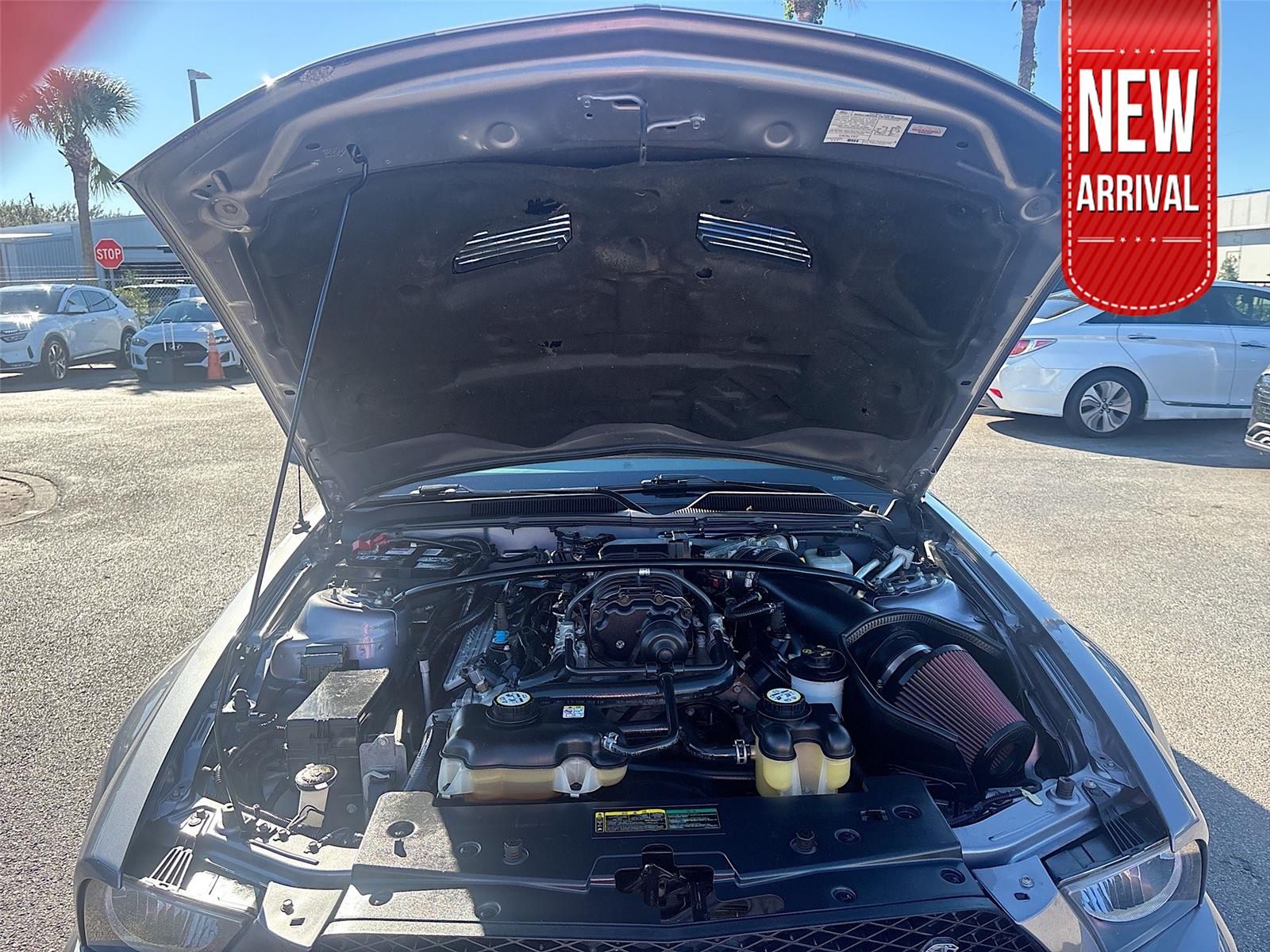 2007 Ford Mustang Shelby GT500