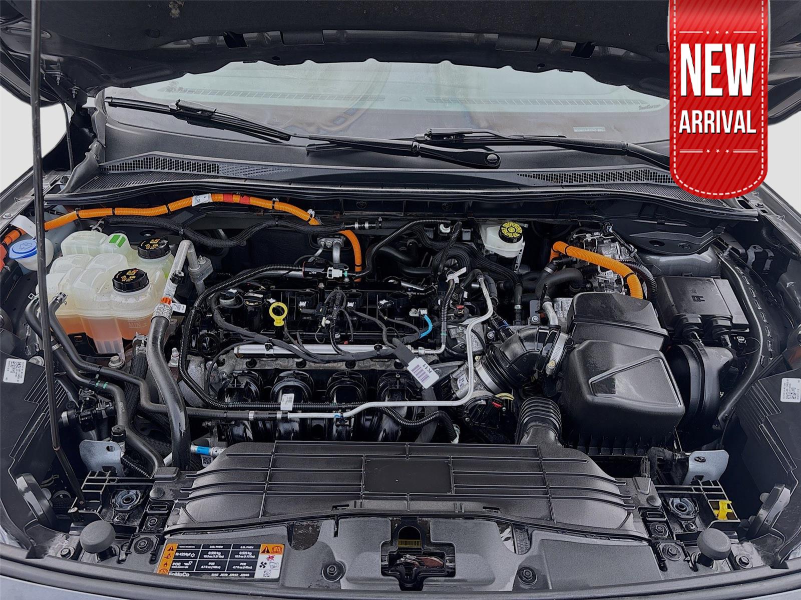 2020 Ford Escape Hybrid SE Sport