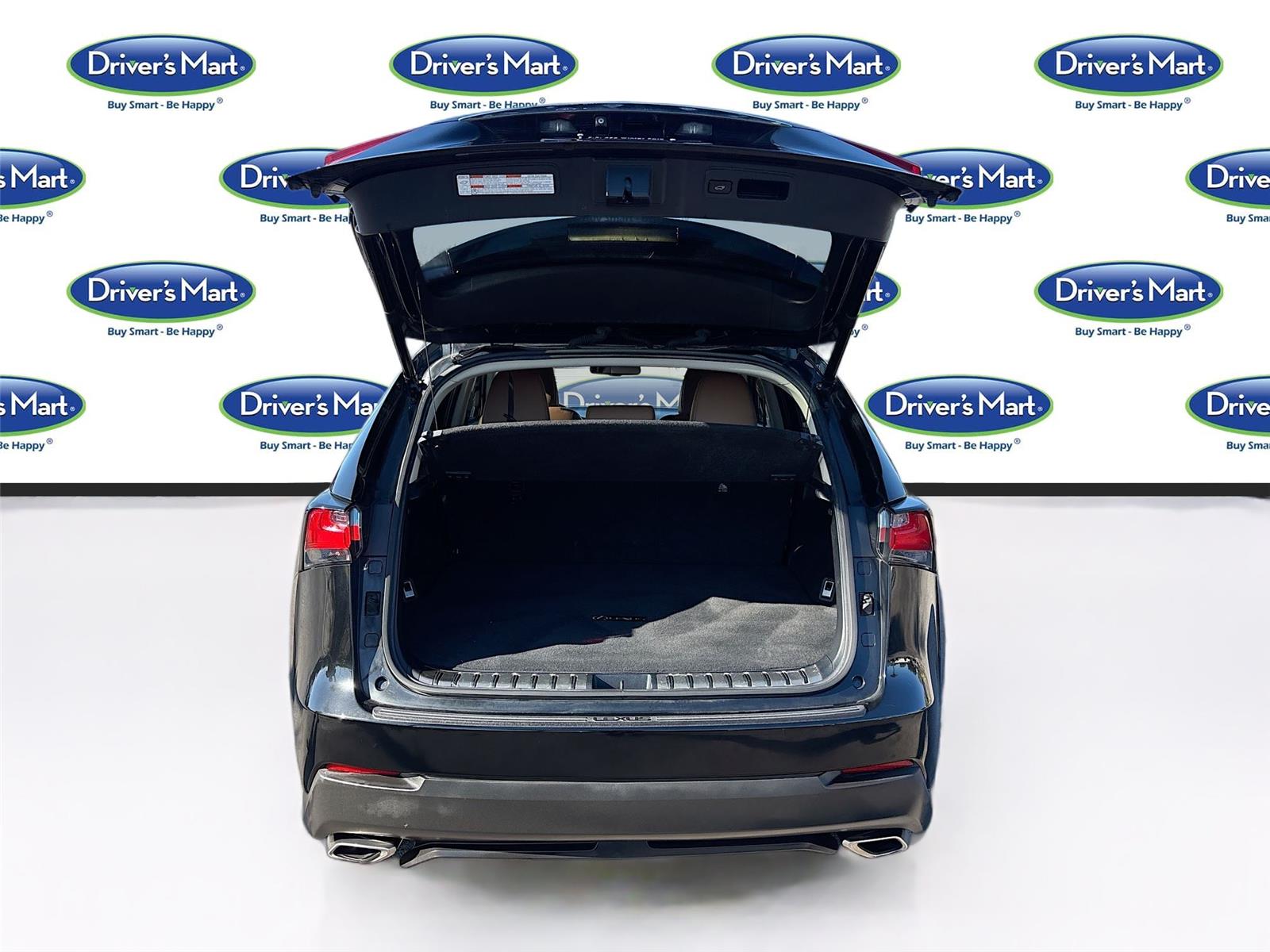 2015 Lexus NX 200t F Sport