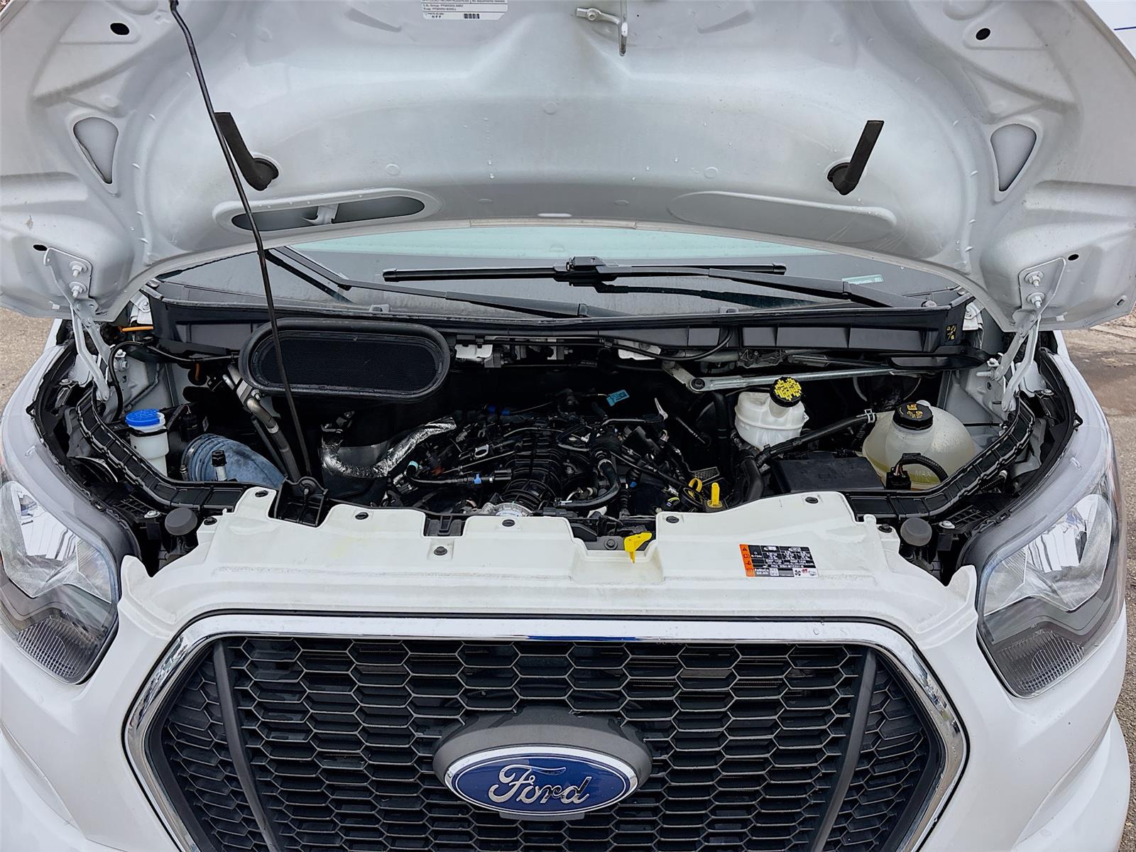 2023 Ford Transit 350 XLT