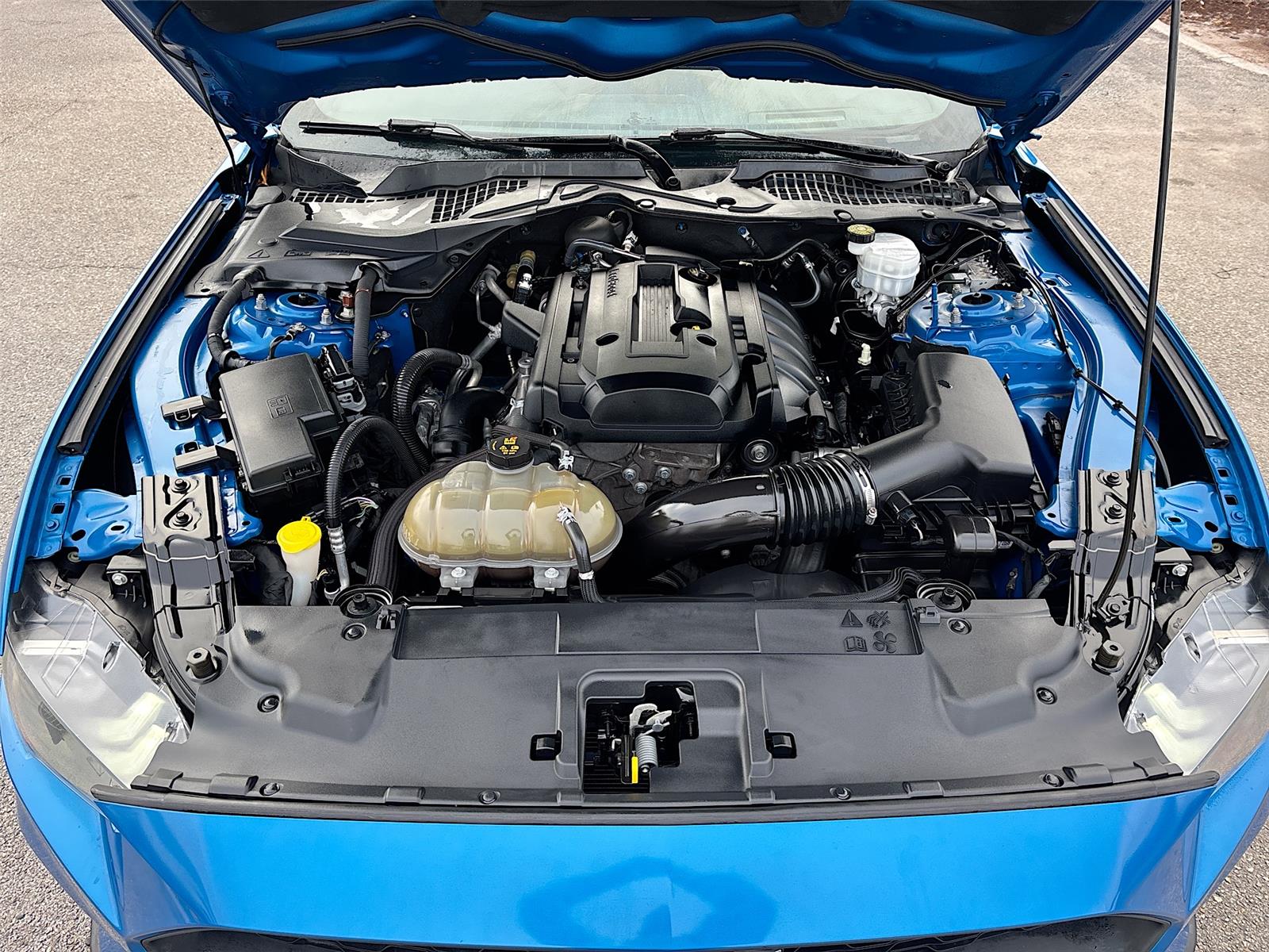 2019 Ford Mustang EcoBoost