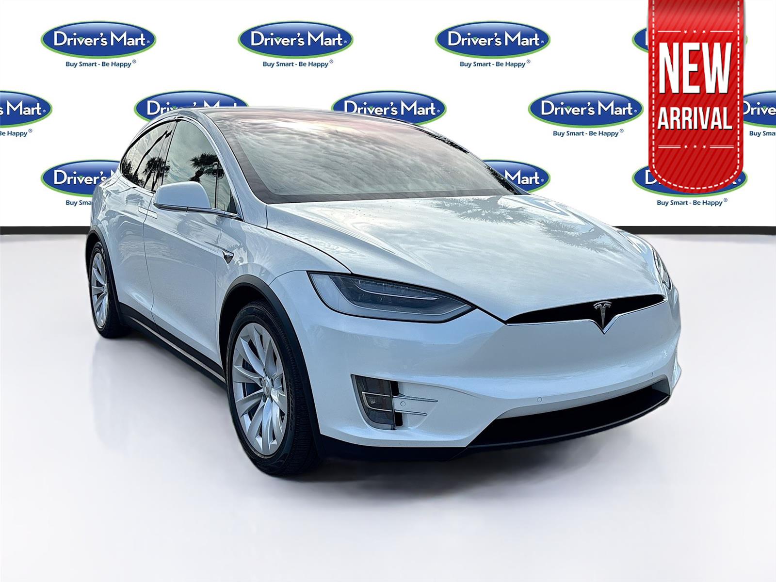 2017 Tesla Model X 100D AWD