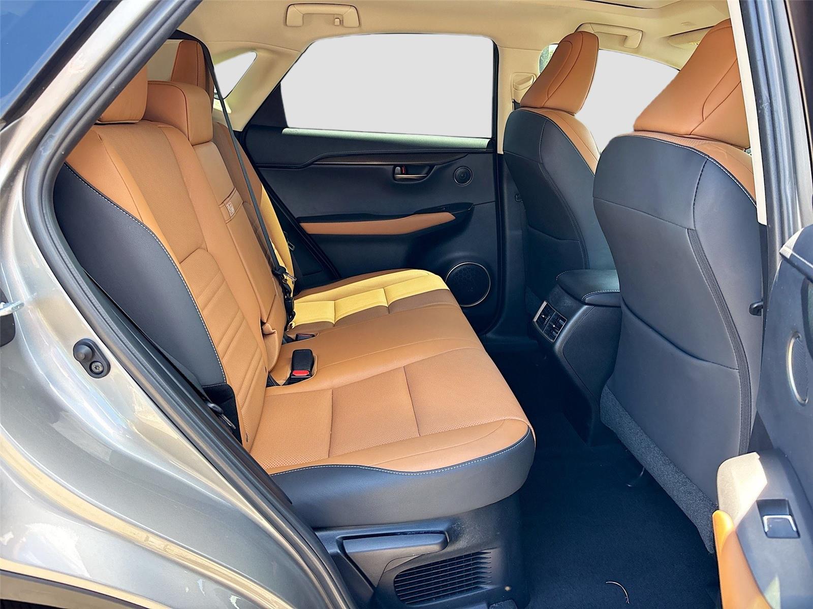 2019 Lexus NX NX 300