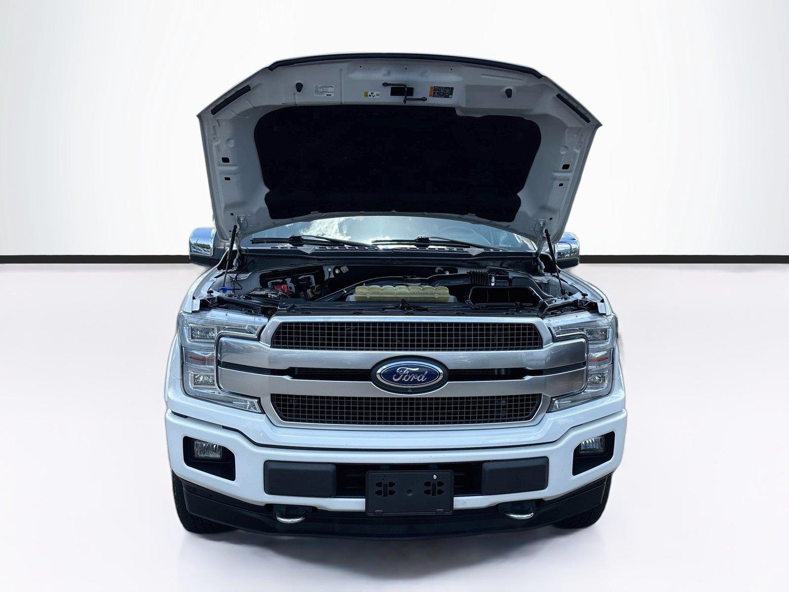 2020 Ford F-150 Platinum