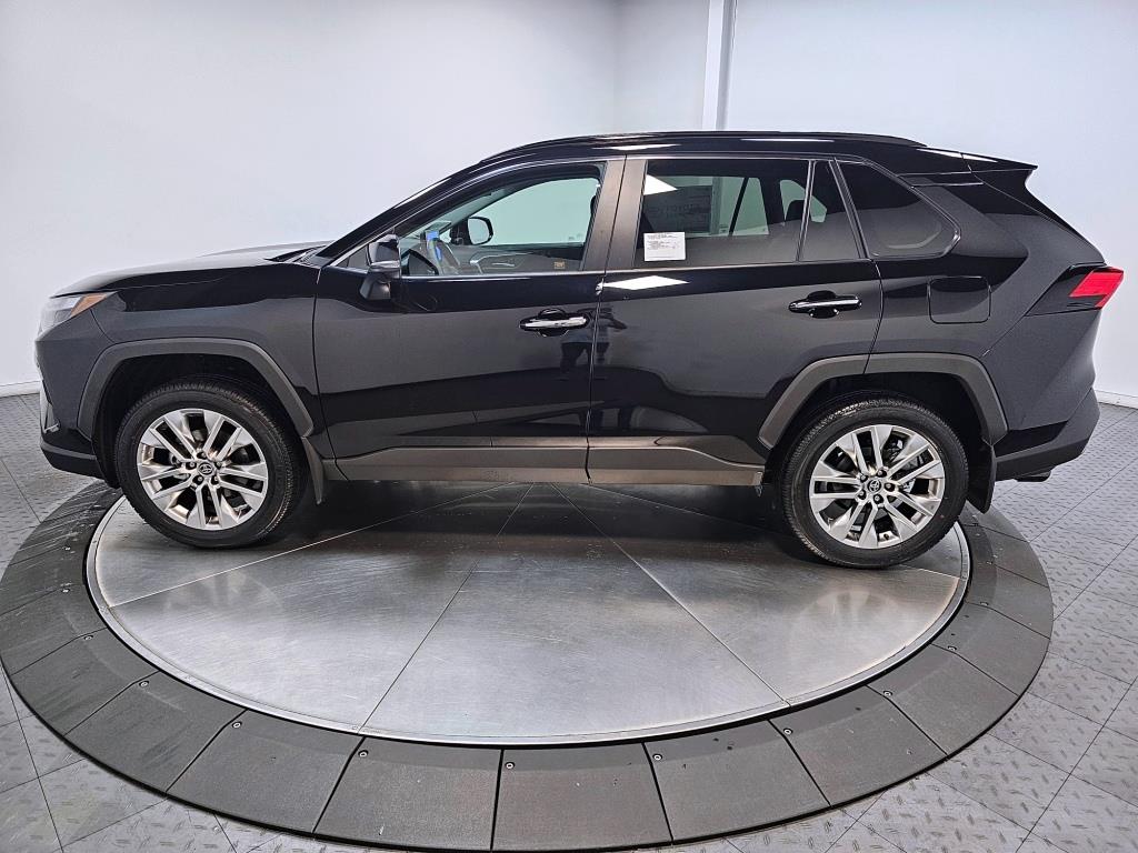 2025 Toyota RAV4 Limited 5