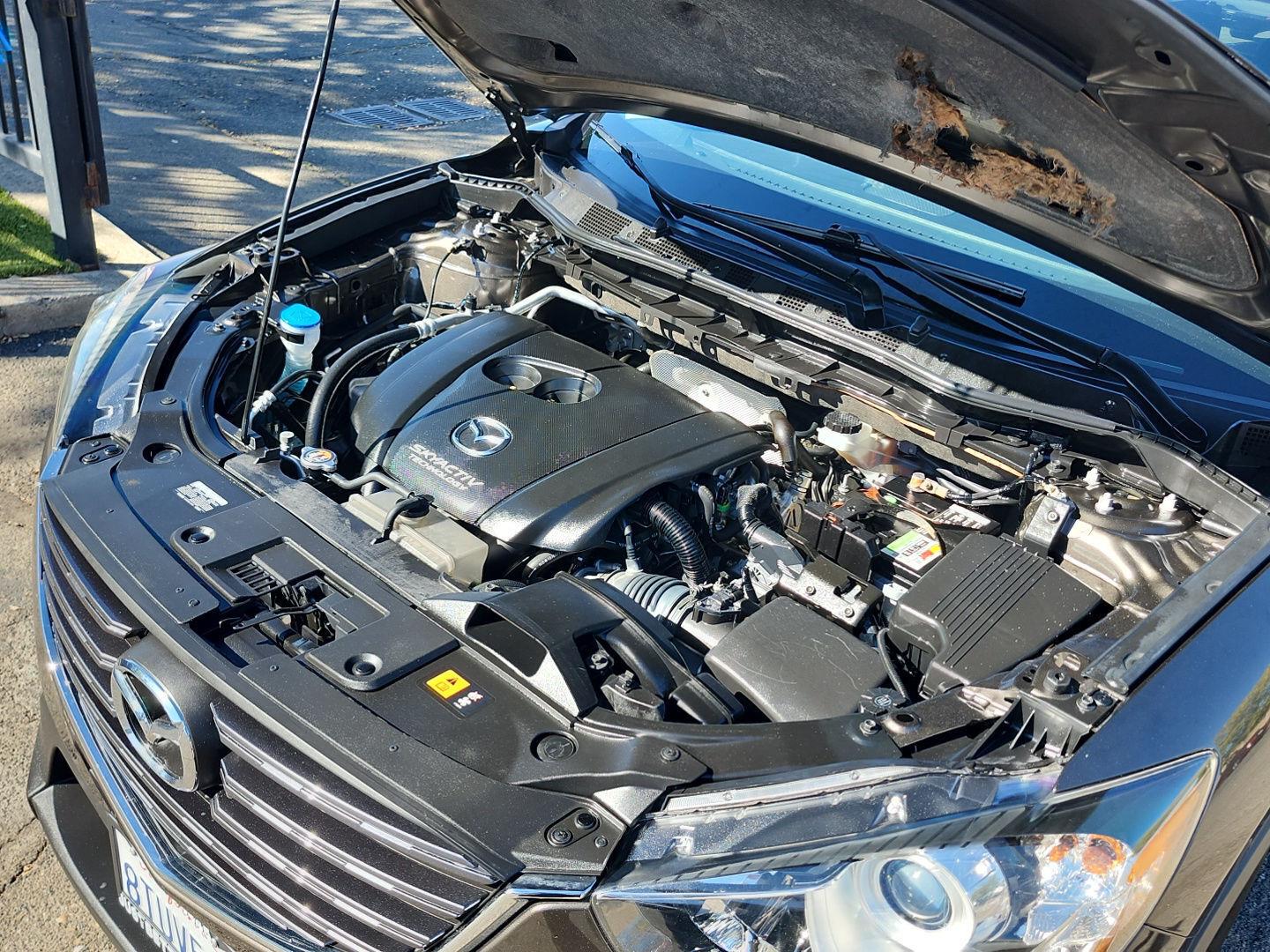 Just Better Cars