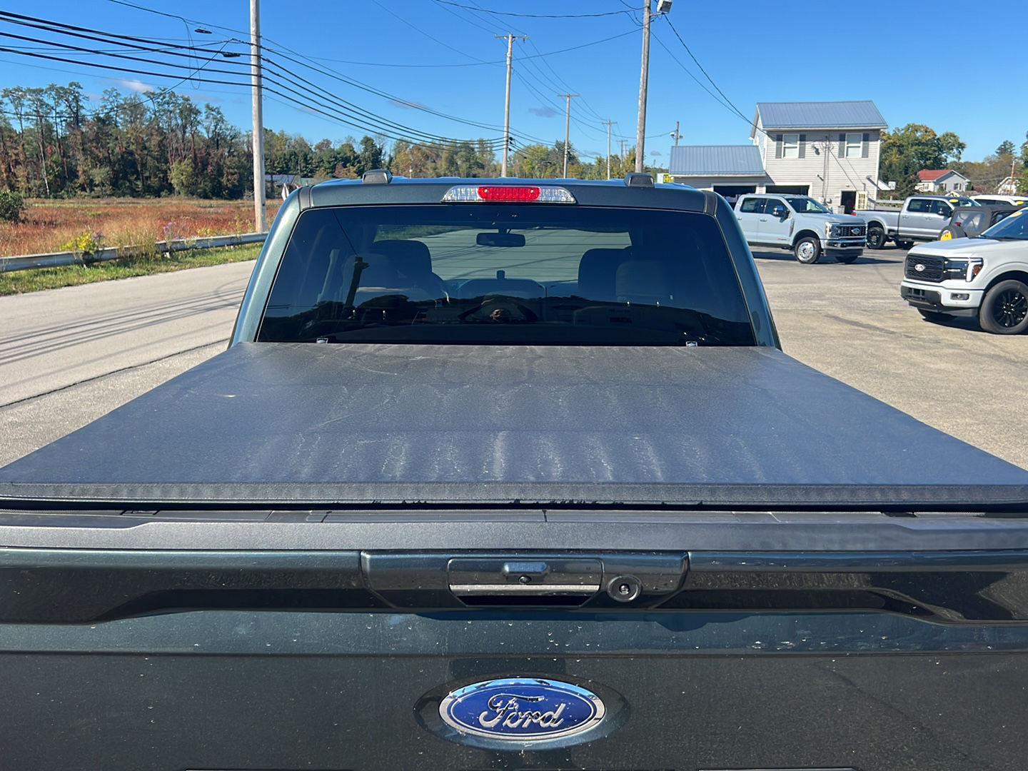 2021 Ford F-150 photo 11 of 48