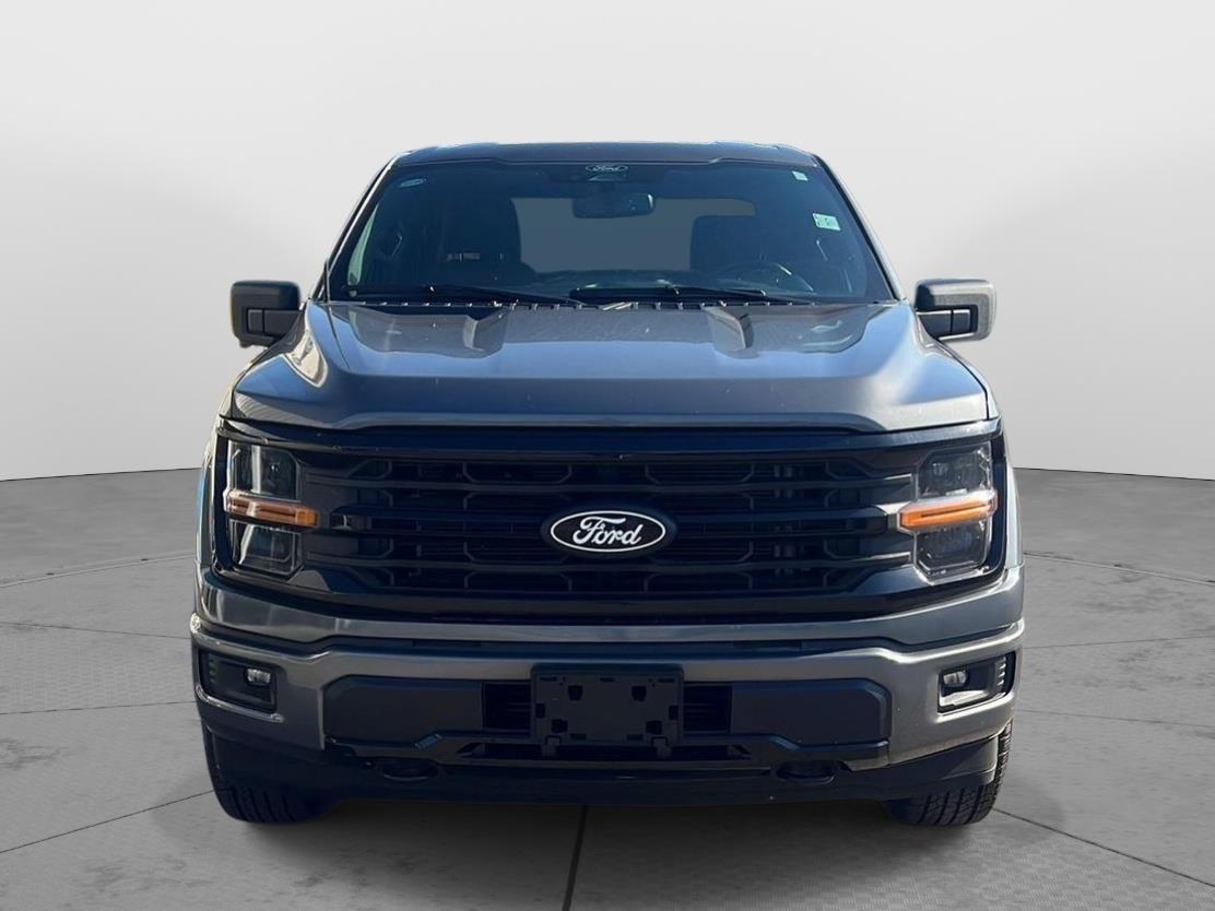 2024 Ford F-150 photo 14 of 44