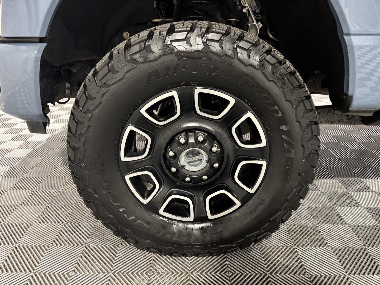 2023 Ford F-250 Platinum photo 10