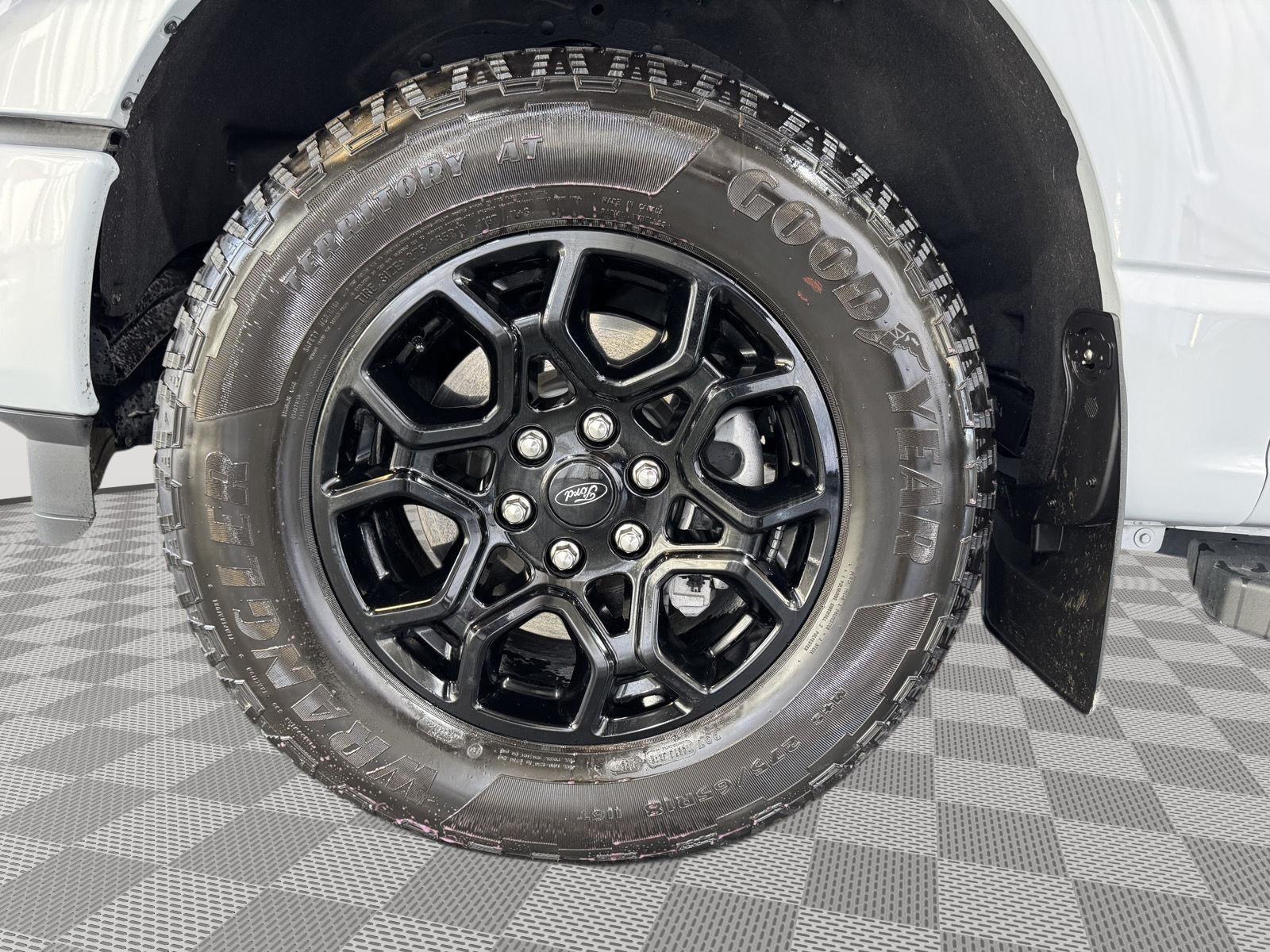 Vehicle photo 11