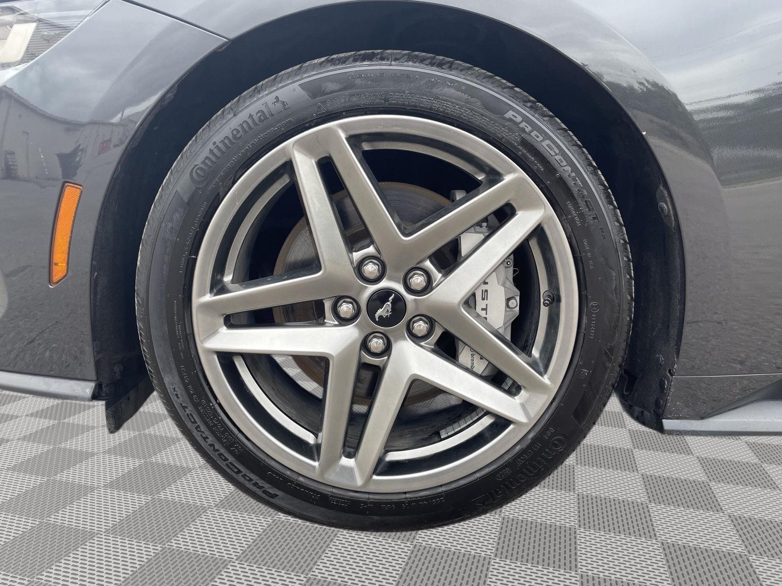 Vehicle photo 10