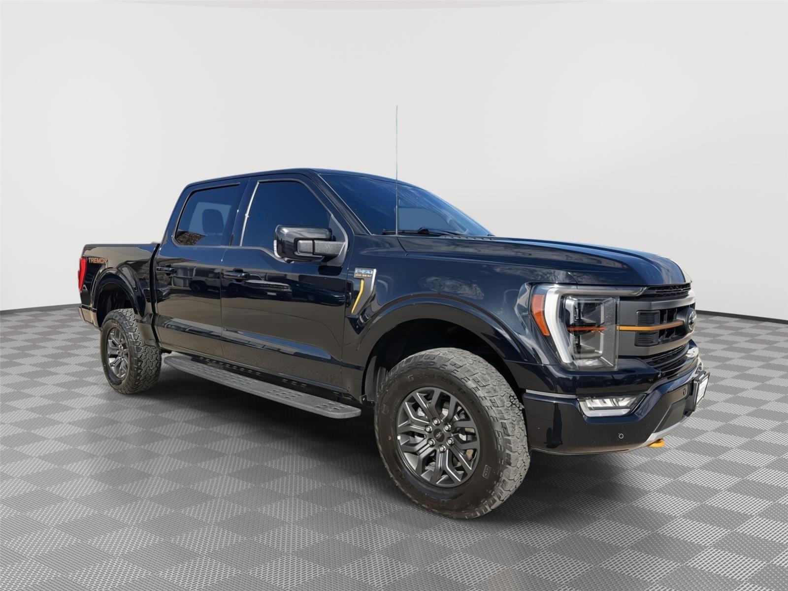 Vehicle photo 10