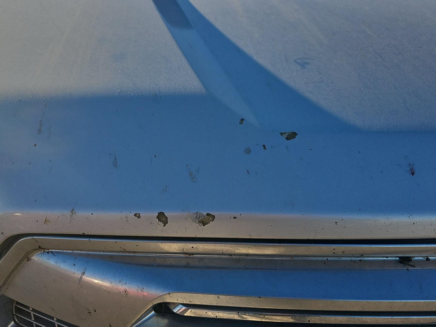 Used 2016 Ford F-150 Platinum Crew Cab Truck for sale in Grand Island NE