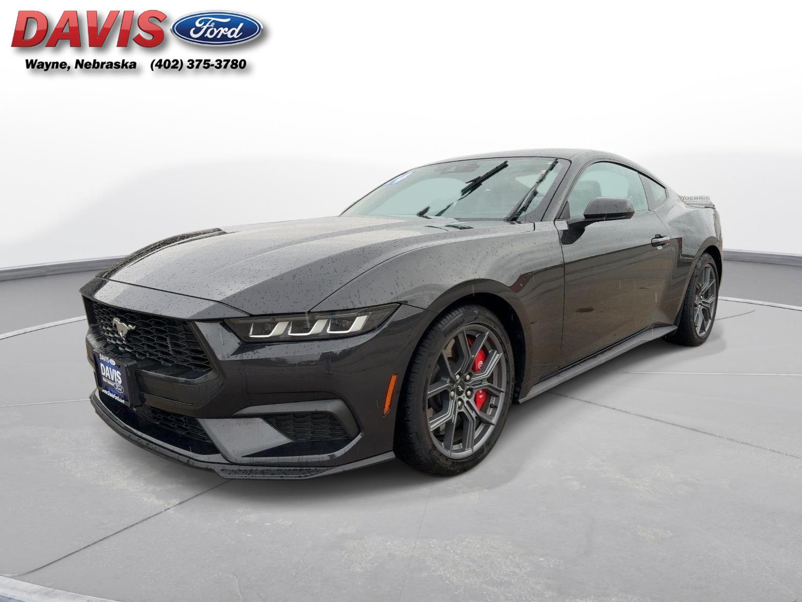 2024 Ford Mustang EcoBoost Fastback RWD