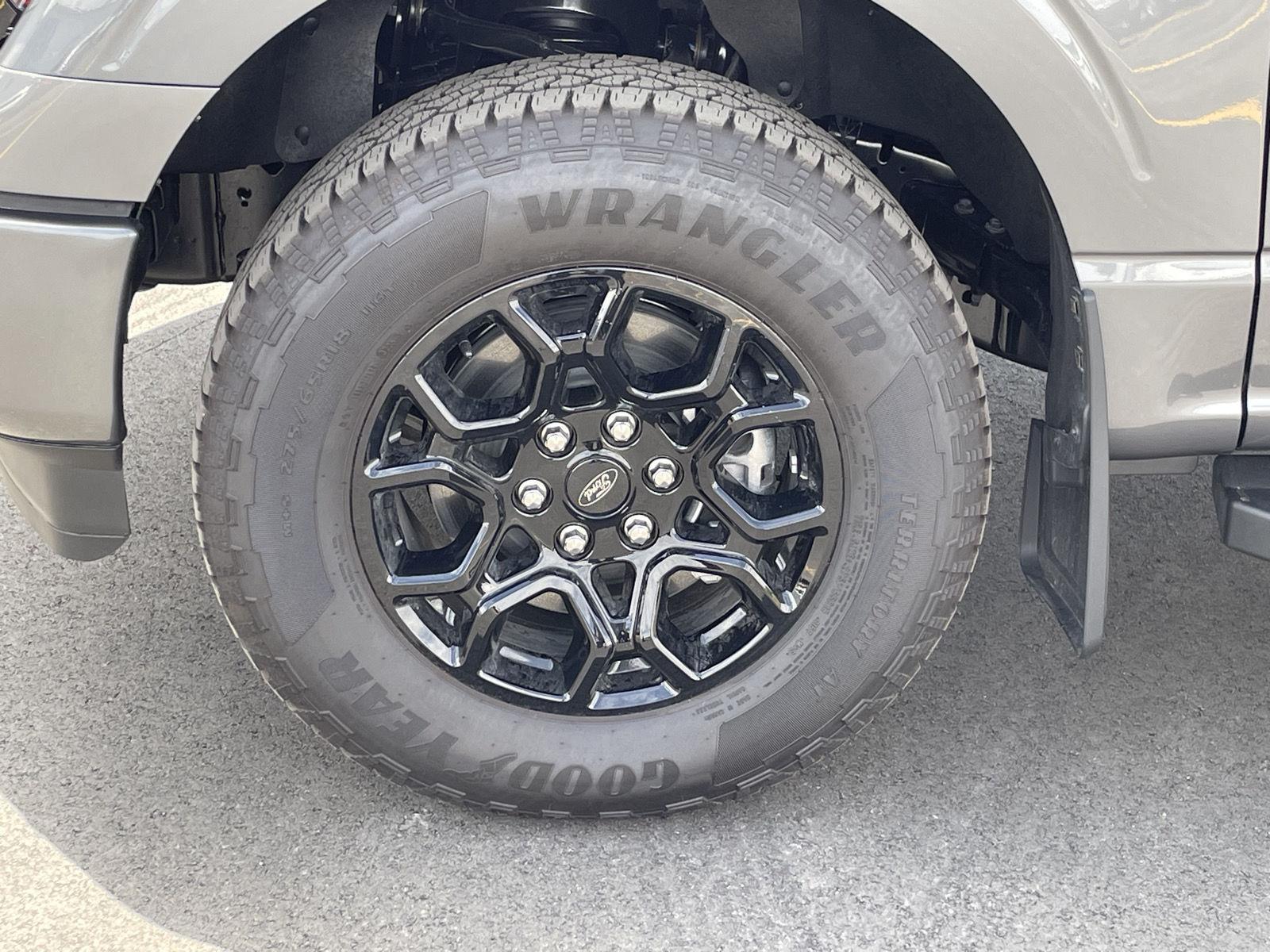New 2025 Ford F-150 XLT Crew Cab Truck for sale in Lincoln NE