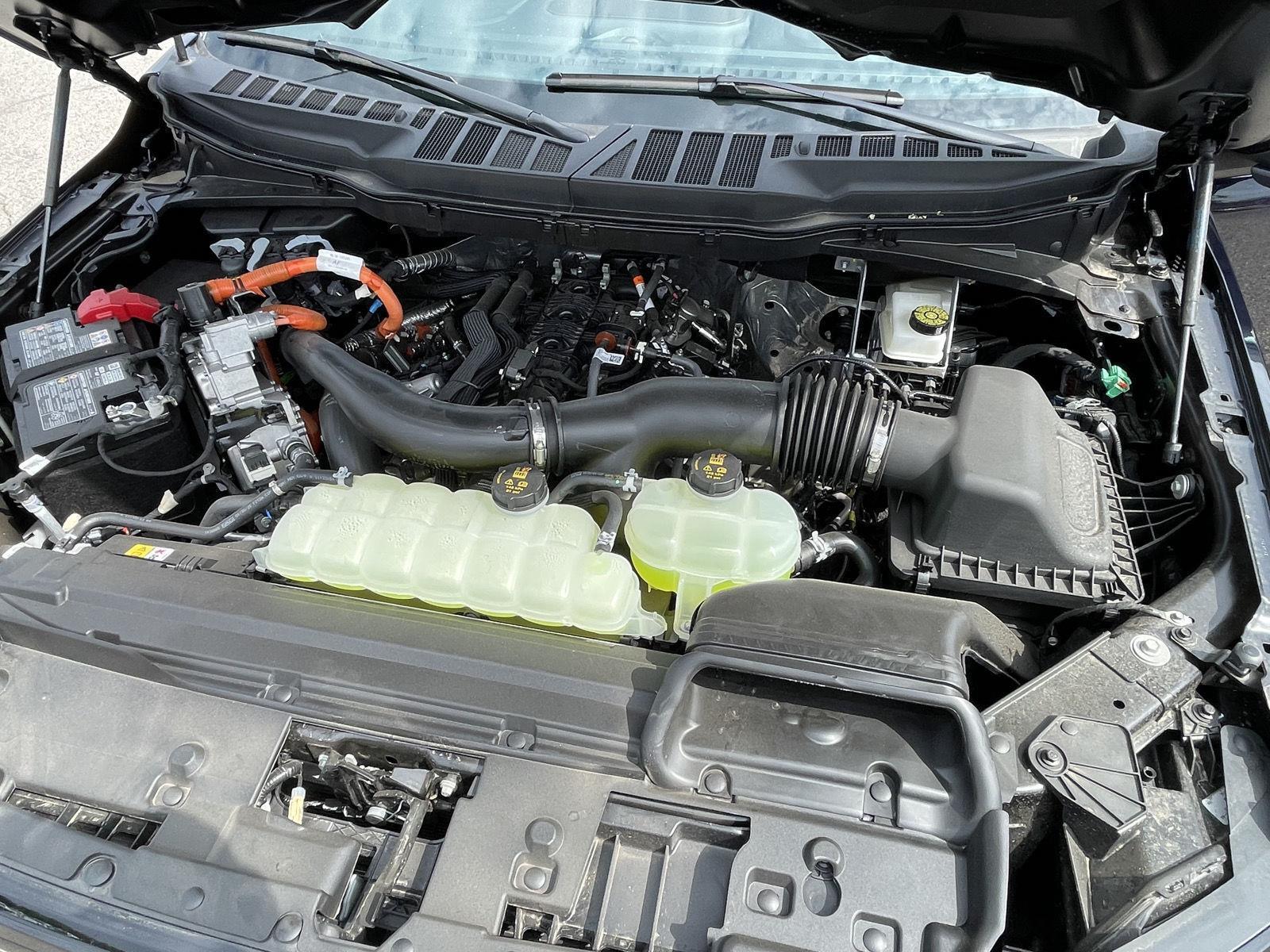 2025 Ford F-150 XLT photo 24