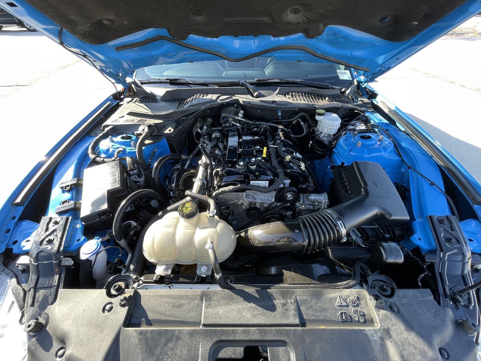 Used 2023 Ford Mustang for sale in Lincoln NE