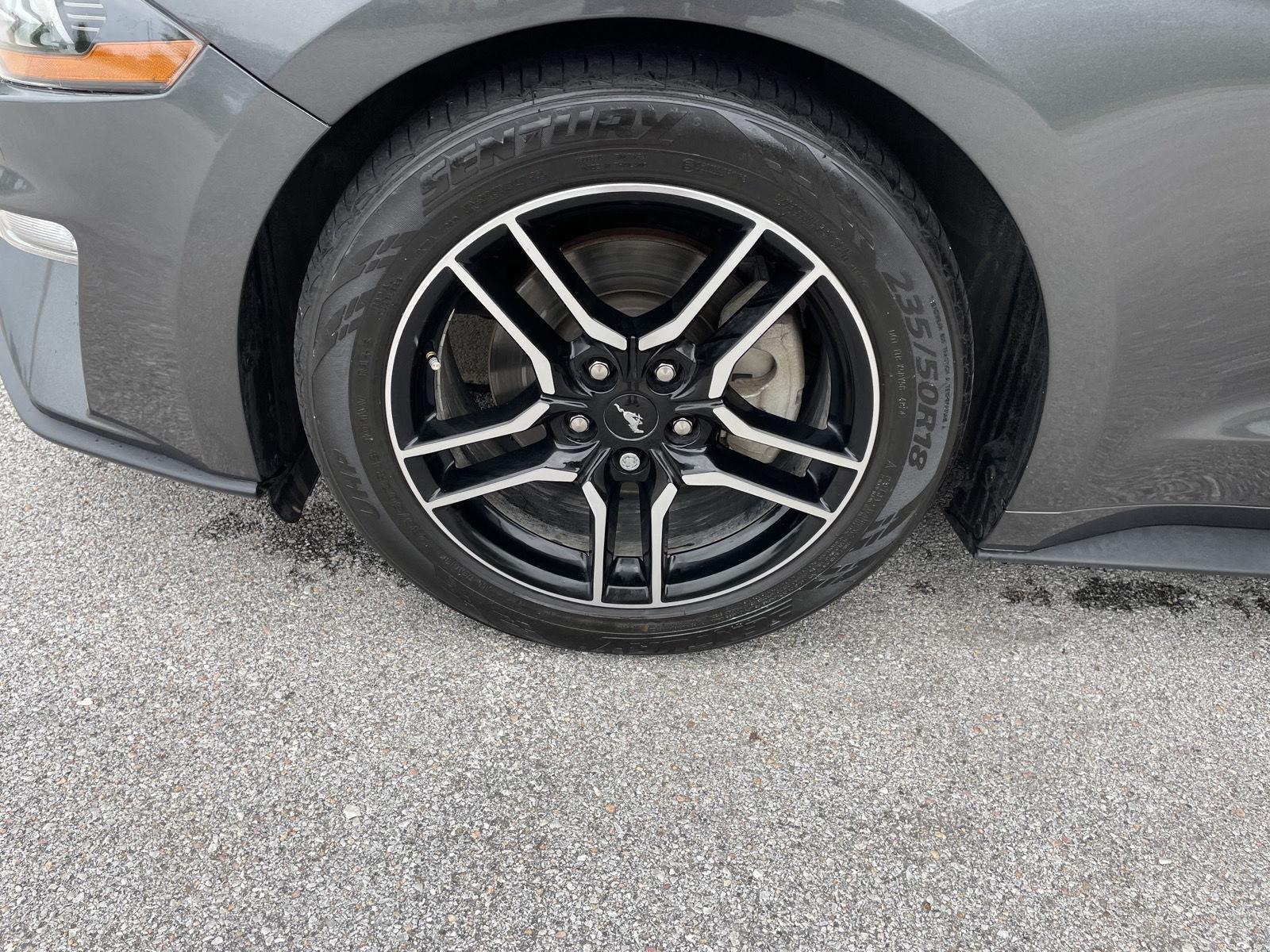 Used 2019 Ford Mustang for sale in Lincoln NE