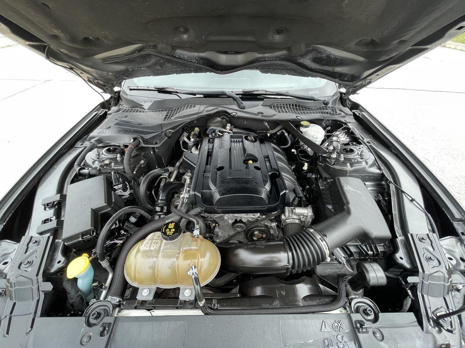 Used 2019 Ford Mustang for sale in Lincoln NE