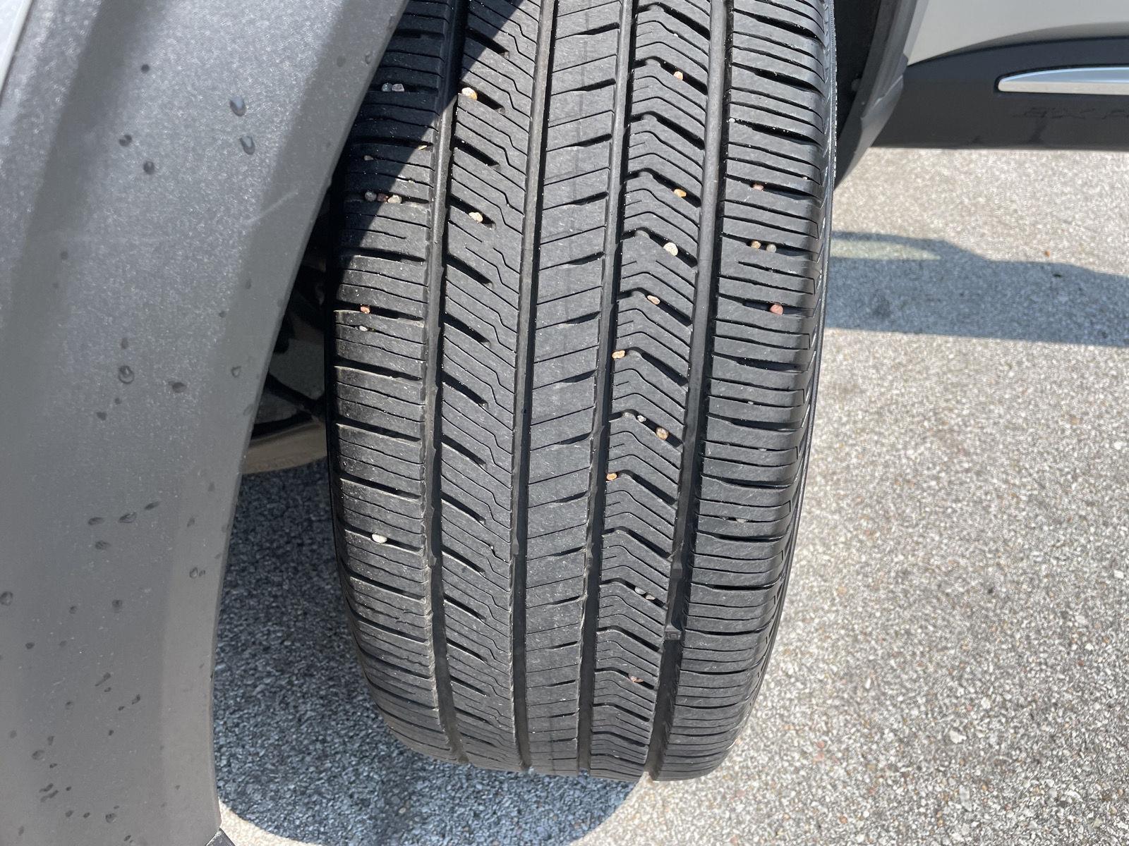 Vehicle photo 11