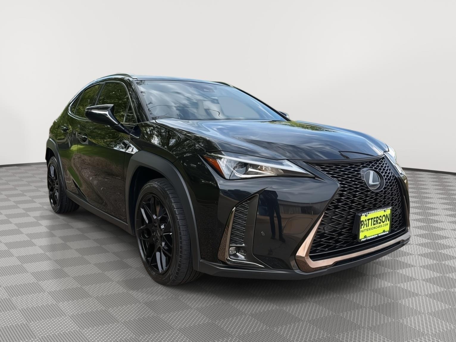 2019 Lexus UX 200 F SPORT