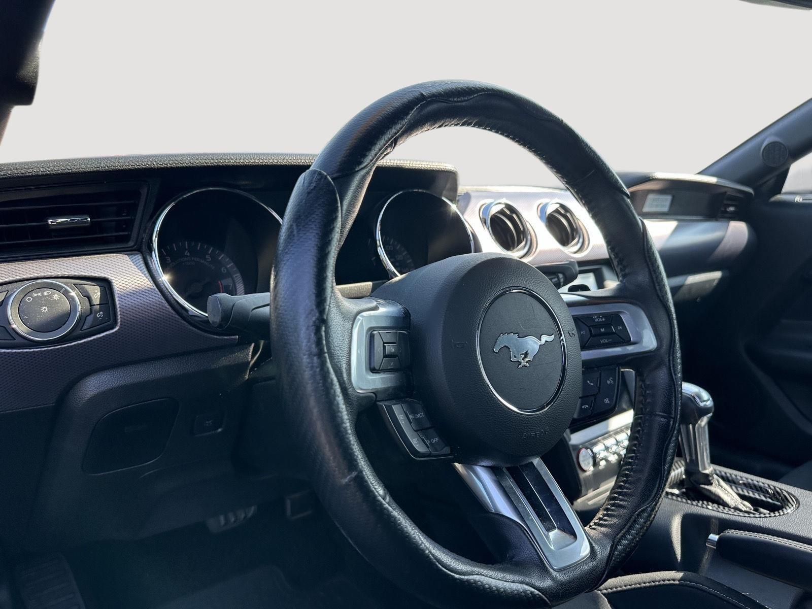 2017 Ford Mustang GT photo 9