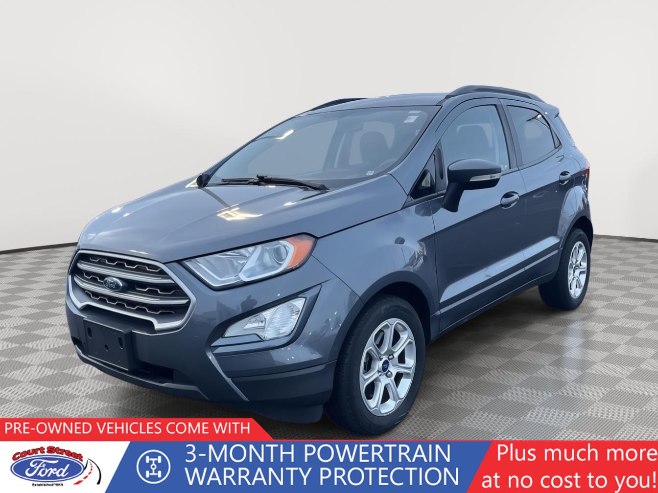 2020 Ford EcoSport SE's photo