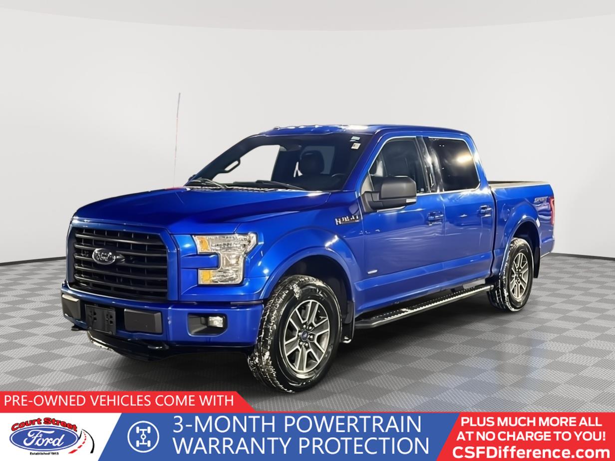 2016 Ford F-150 XL's photo