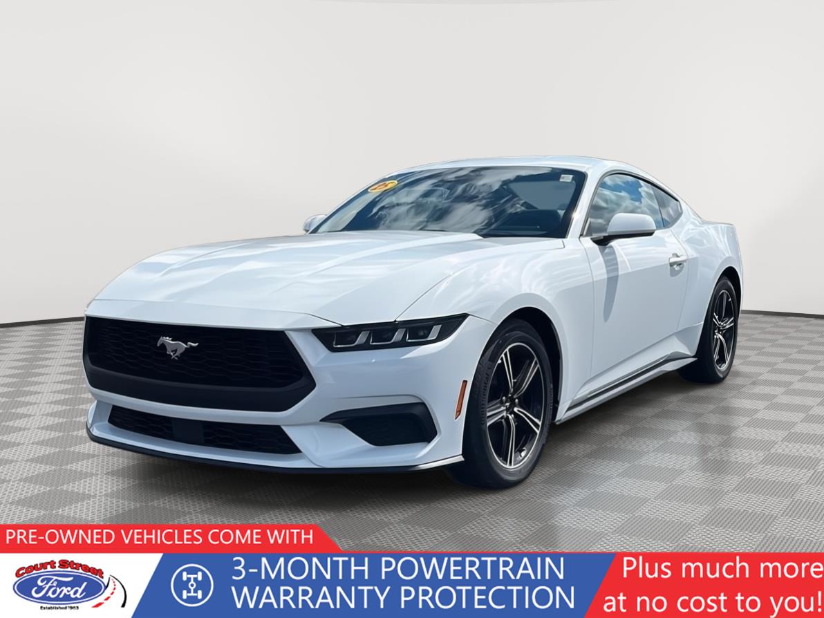 2025 Ford Mustang EcoBoost Fastback's photo