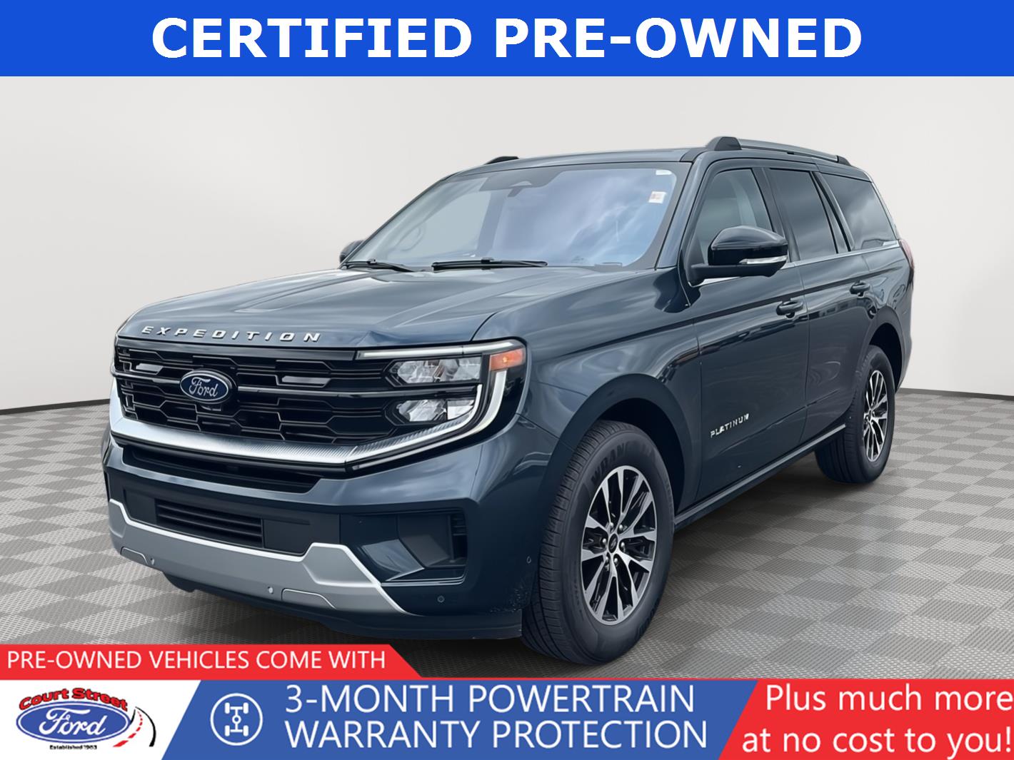 2025 Ford Expedition Platinum 4x4's photo