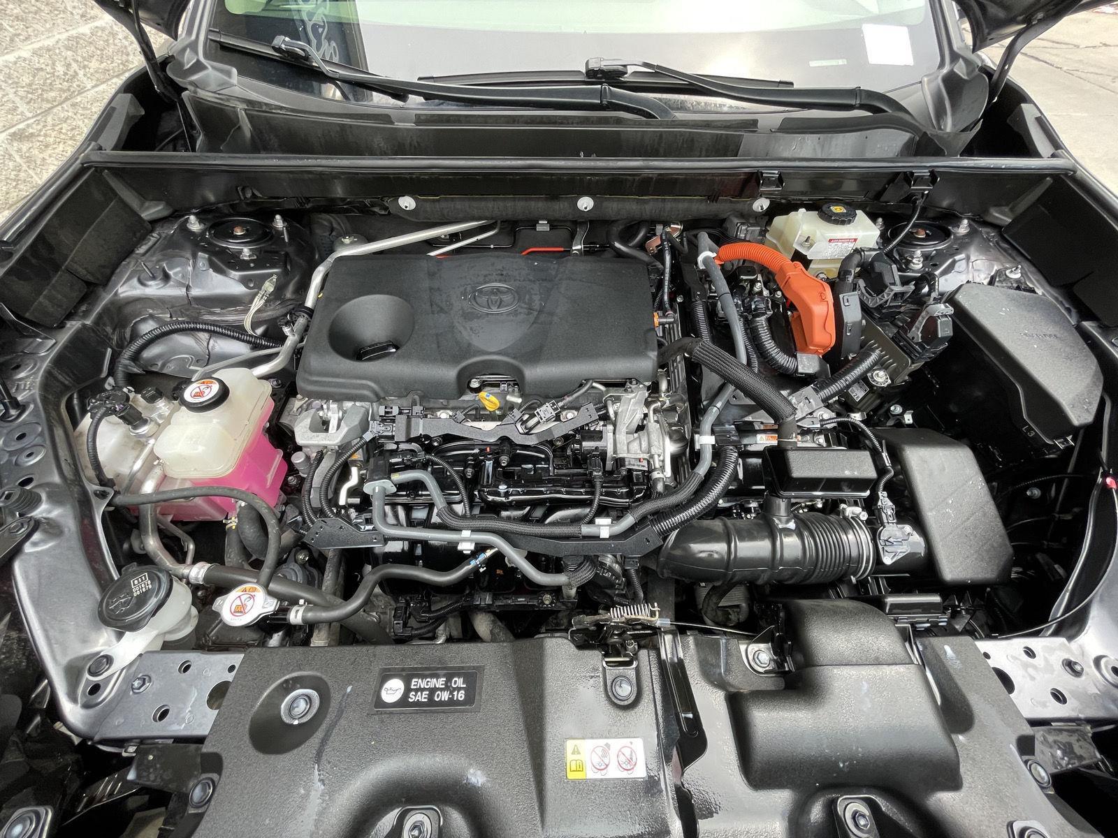 Used 2019 Toyota RAV4 for sale in Lincoln NE