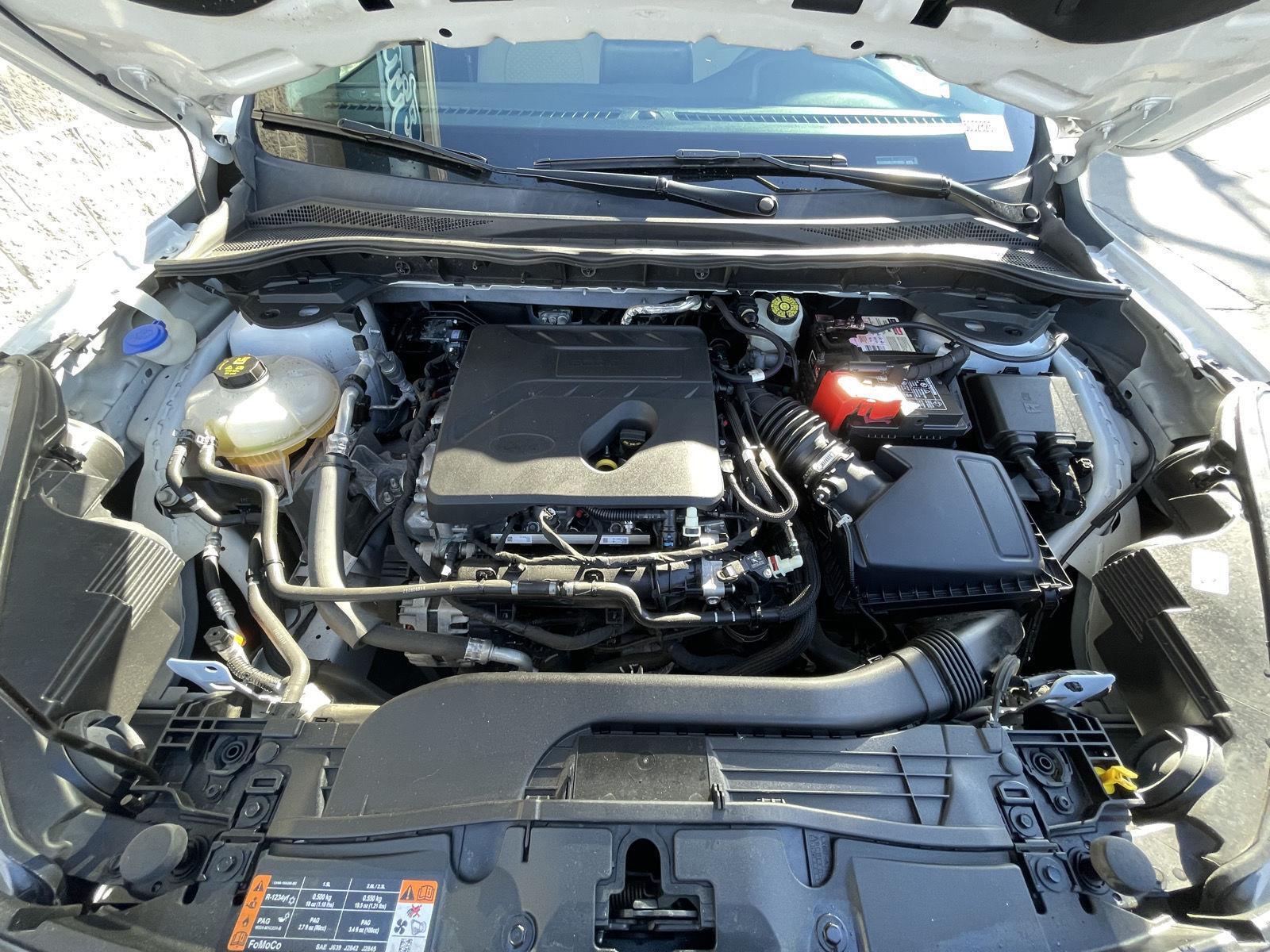 Used 2020 Ford Escape for sale in Lincoln NE