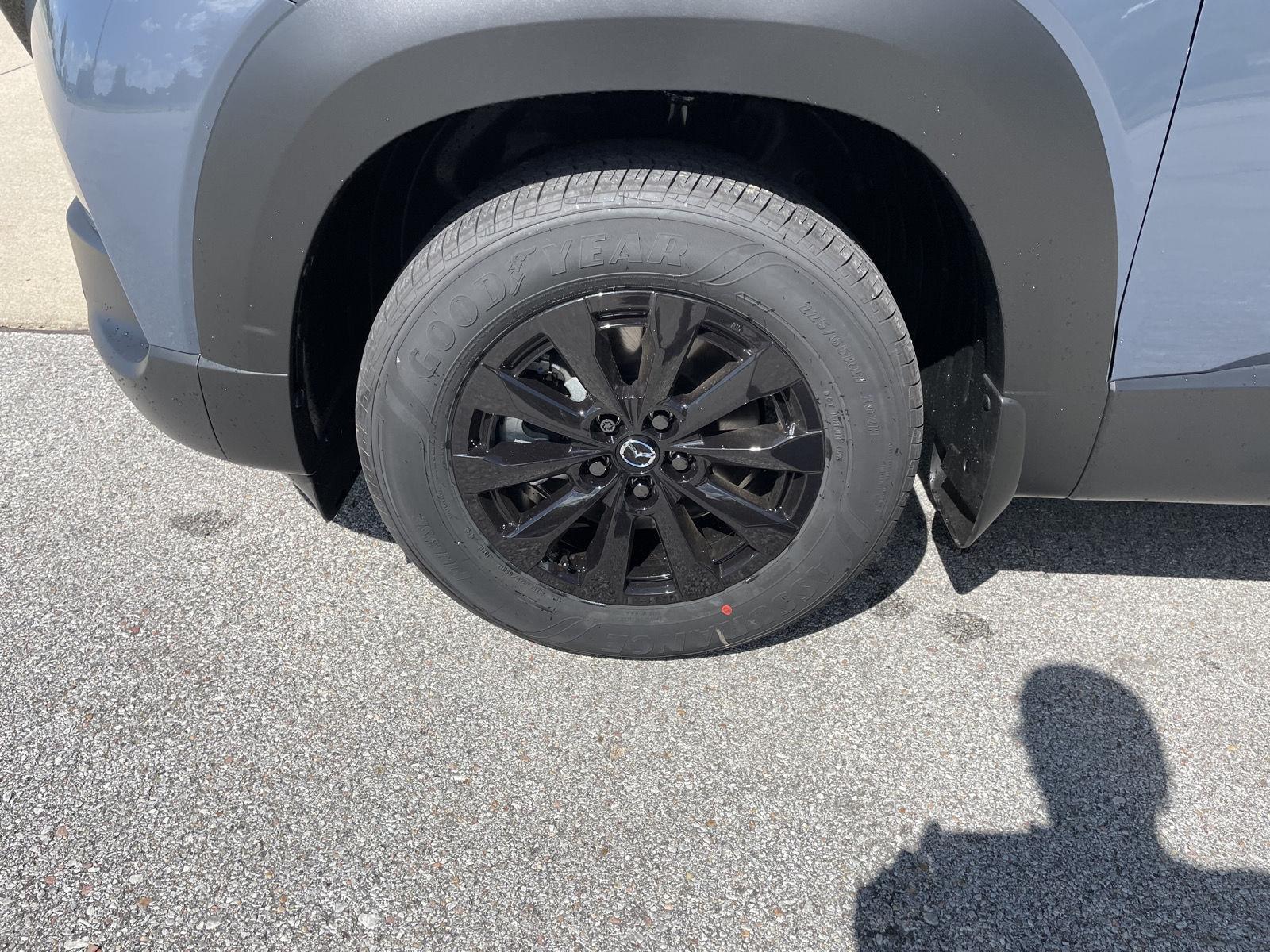 Vehicle photo 10