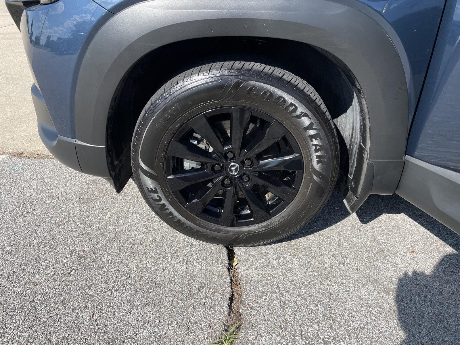 Vehicle photo 10