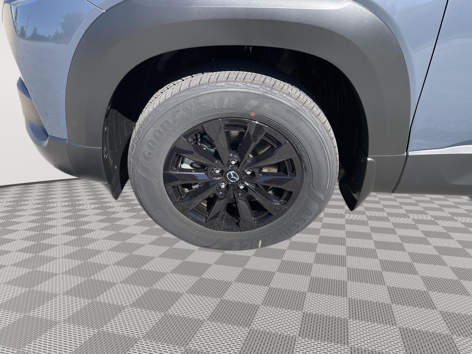 Vehicle photo 11