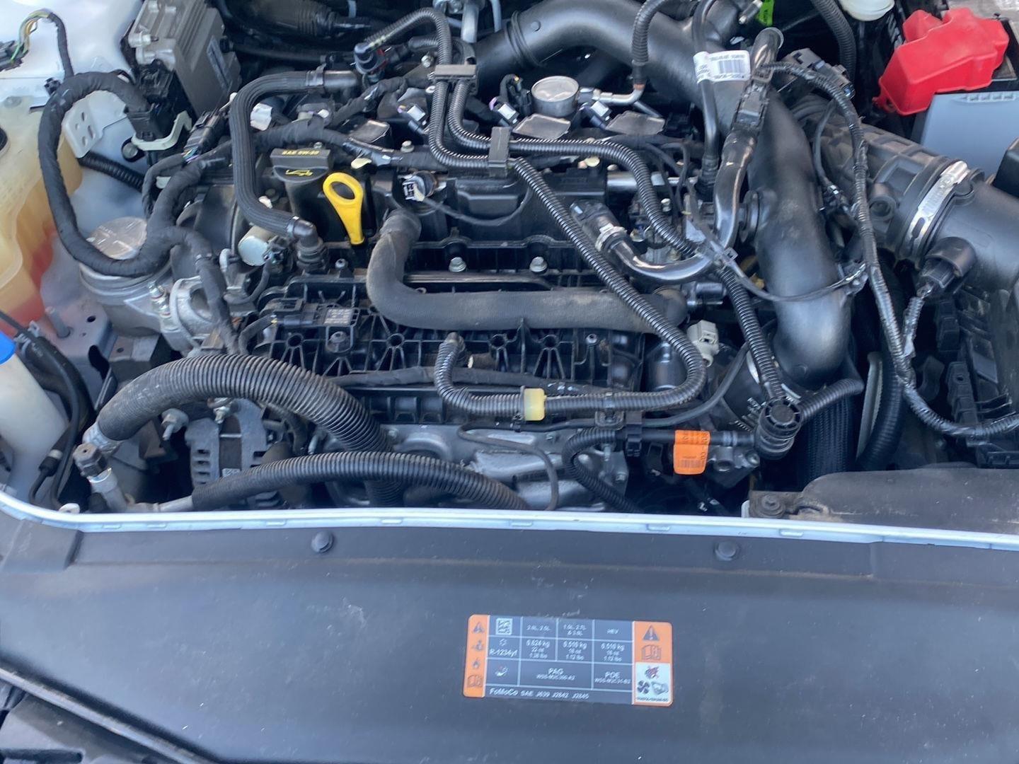 2019 Ford Fusion SE at Brad Windhams Used Cars