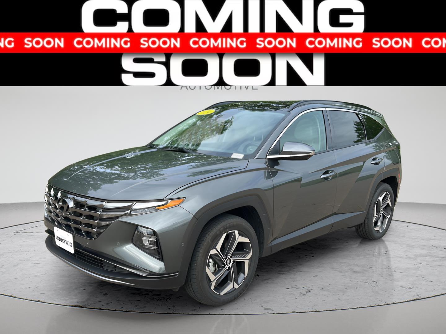 Amazon Gray 2024 Hyundai Tucson Hybrid Plug-In SUV / Crossover All-Wheel Drive Automatic