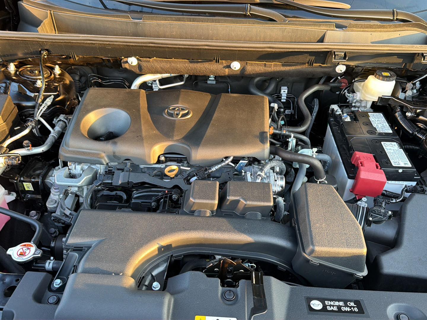 Used 2025 Toyota RAV4 SUV