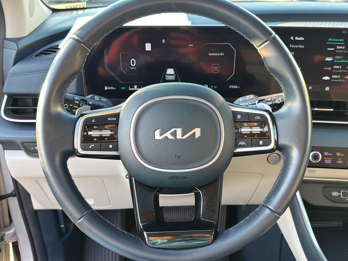 Used 2025 Kia Carnival Hybrid Van