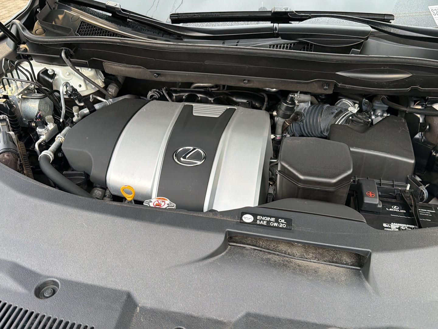 Used 2019 Lexus RX 350L  SUV